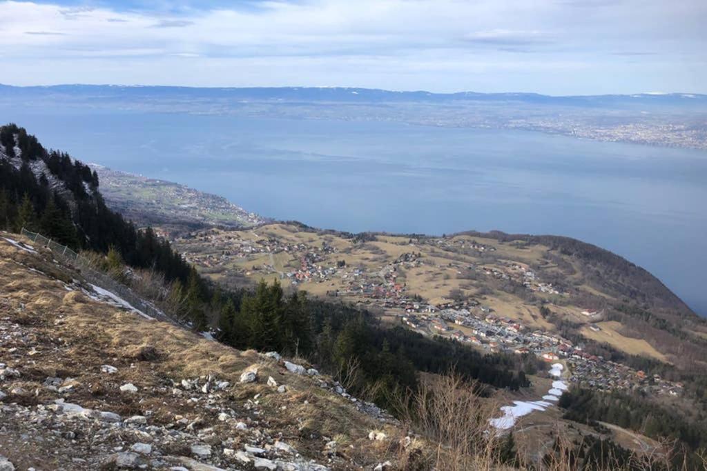 Studio Agreable Et Cosy Avec Vue Sur Les Memises Thollon-les-Memises Exteriör bild