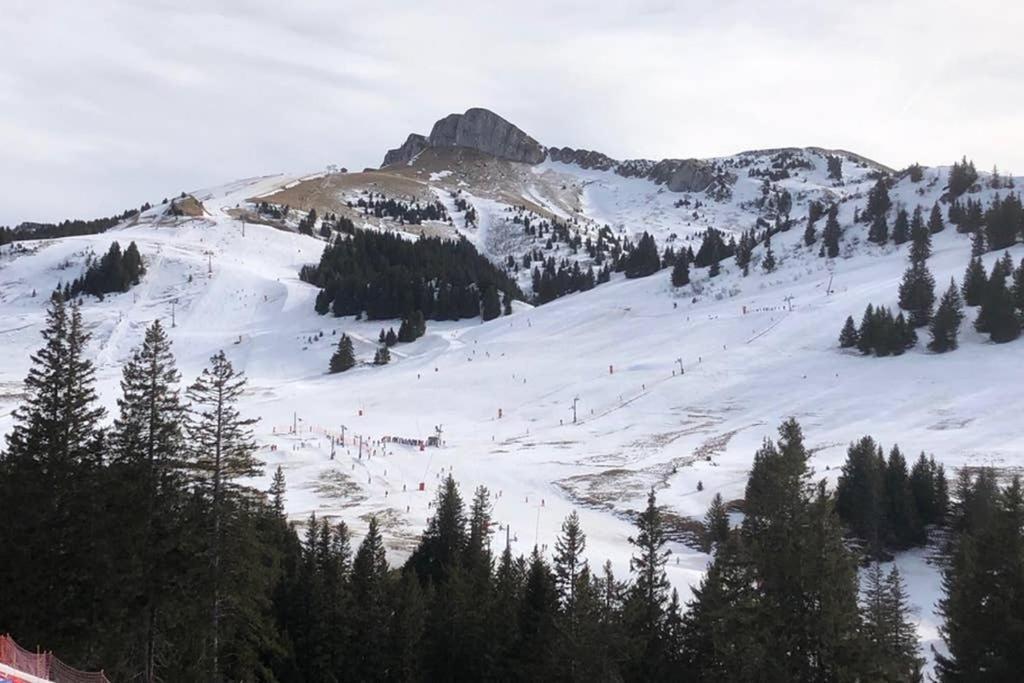 Studio Agreable Et Cosy Avec Vue Sur Les Memises Thollon-les-Memises Exteriör bild